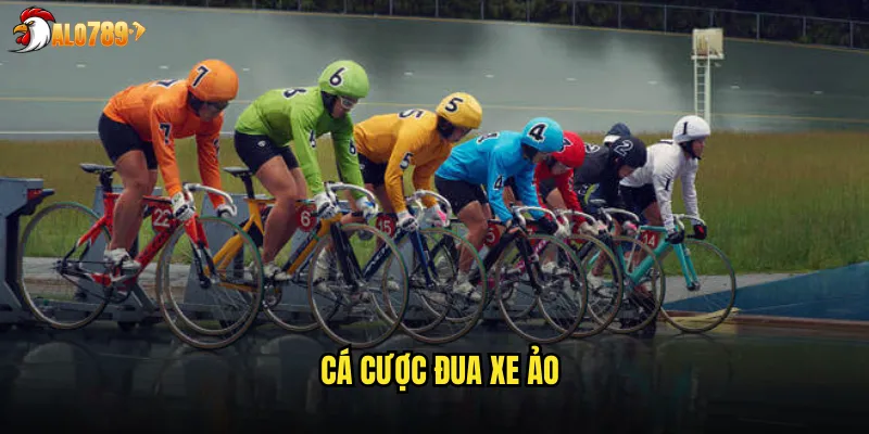cá cược đua xe ảo